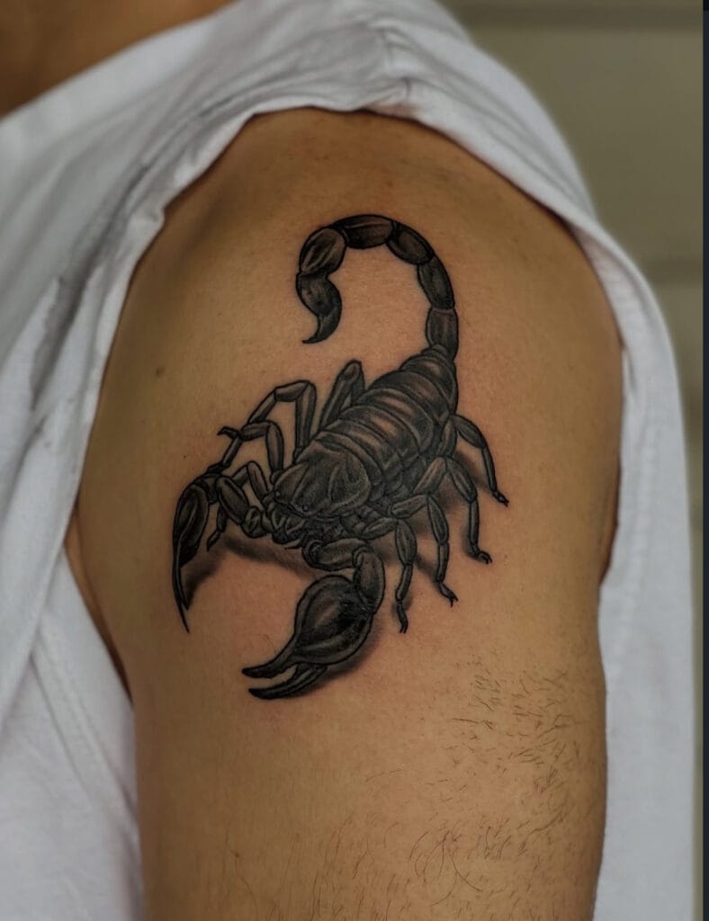 tom scorpion